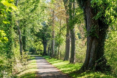 Stadtwall&nbsp;&copy;&nbsp;Stadt Duderstadt